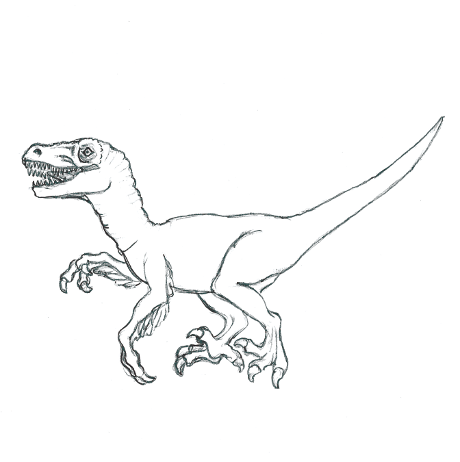 Velociraptor book