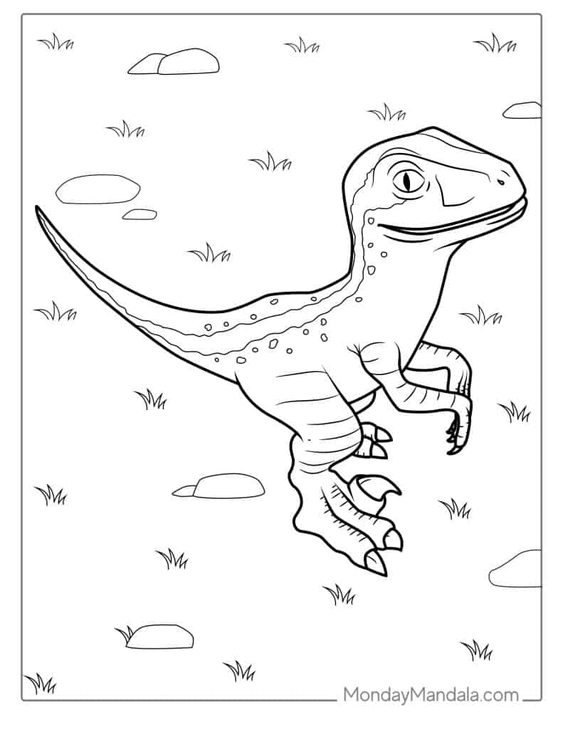 Velociraptor coloring pages free pdf printables