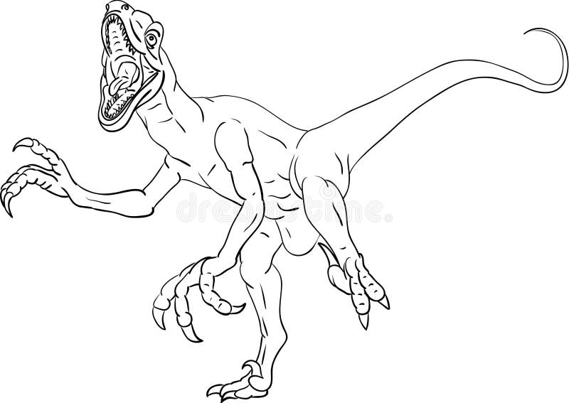 Cute velociraptor coloring page vector illustration on white stock vector