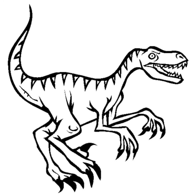 Velociraptor dinosaur coloring pages practical scrappers libro de dinosaurios para colorear dibujos para colorear pãginas para colorear lindas