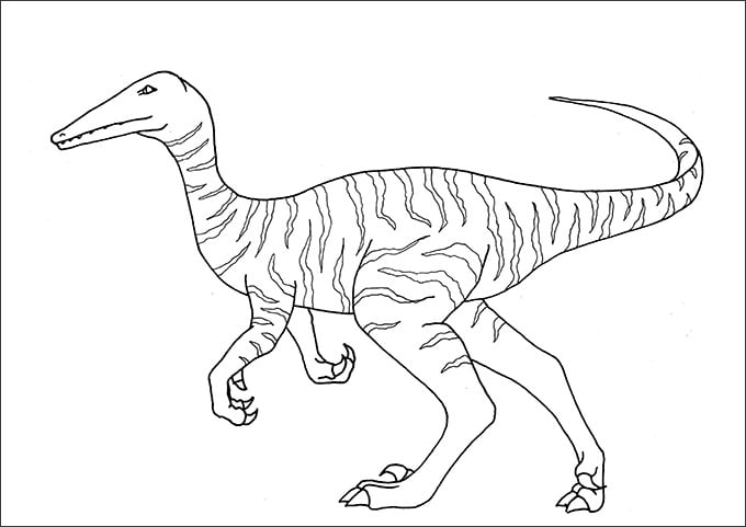 Dinosaur coloring page s in illustrator pdf png svg jpg eps