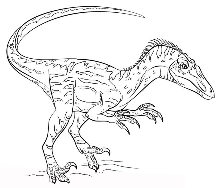 Dinosaur coloring pages pdf printable