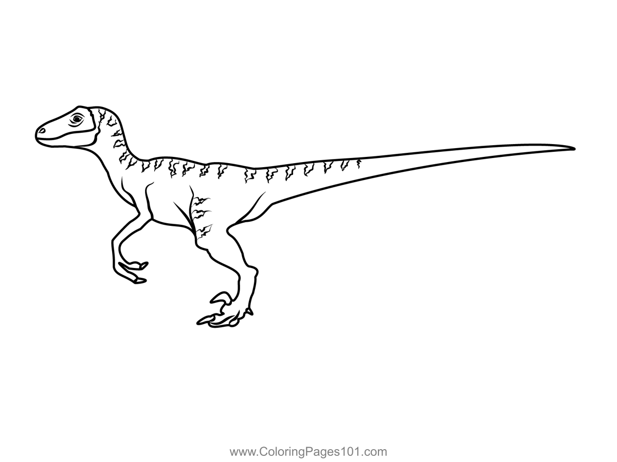 Velociraptor coloring page velociraptor drawing dinosaur coloring pages dinosaur coloring