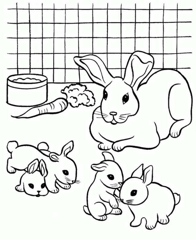 Coloring pages free rabbit coloring pages