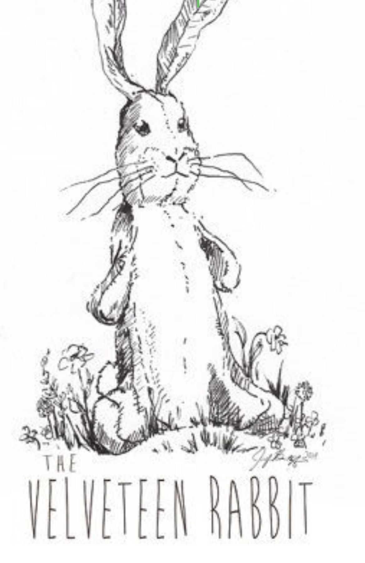 Help me find this velveteen rabbit font ridentifythisfont