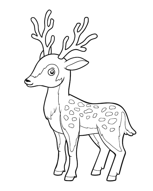 Deer coloring pages printable vectors illustrations for free download