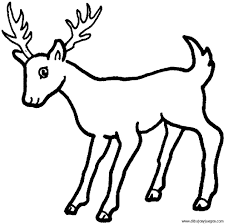 Resultado de imagen pa dibujos de venados deer coloring pages animal coloring pages coloring pages