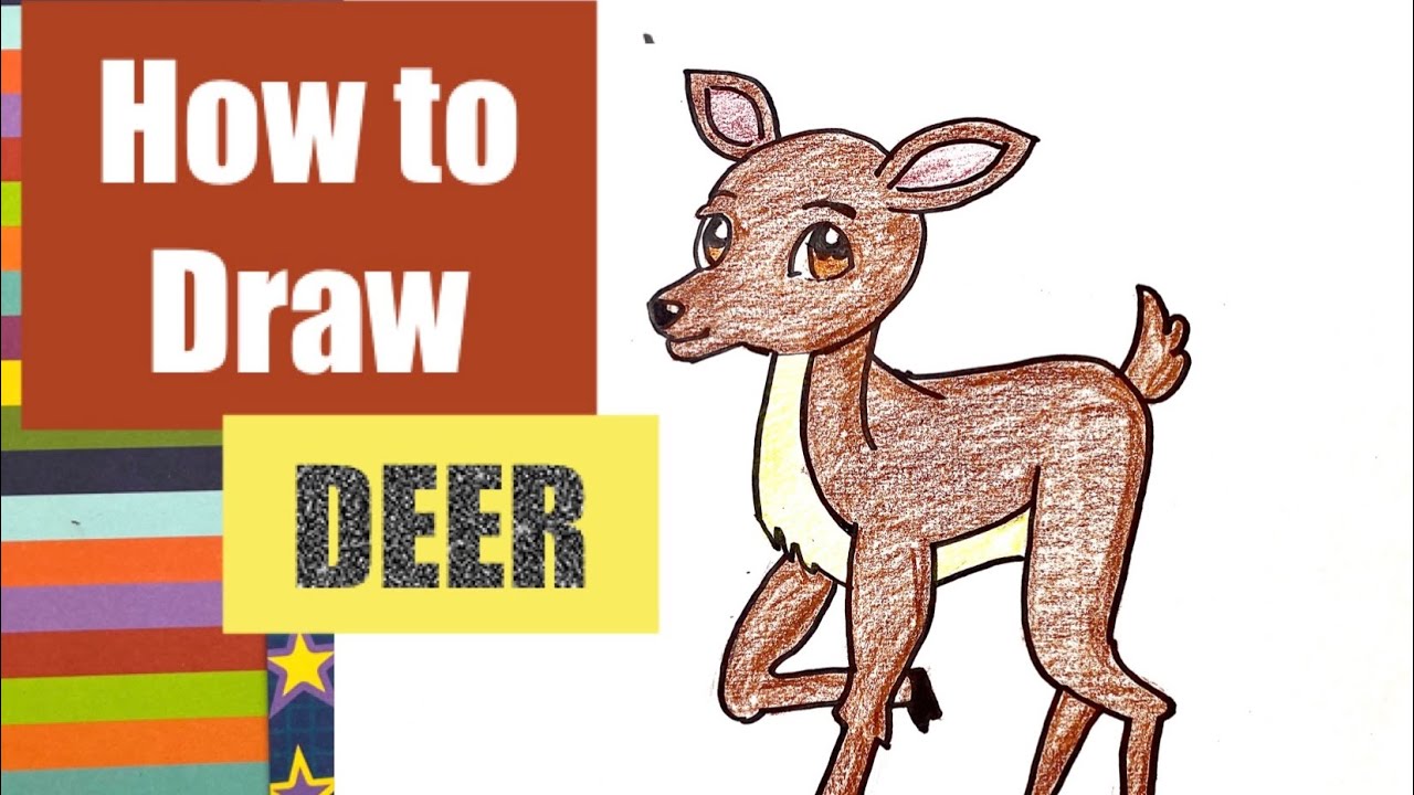 How to draw a deer using simple shapes o dibujar un venado usando figuras simples