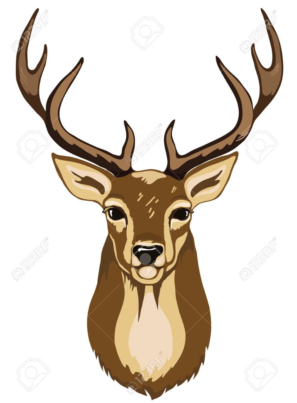 Portrait of wild deer with antlers brown color royalty free svg cliparts vectors and stock illustration image