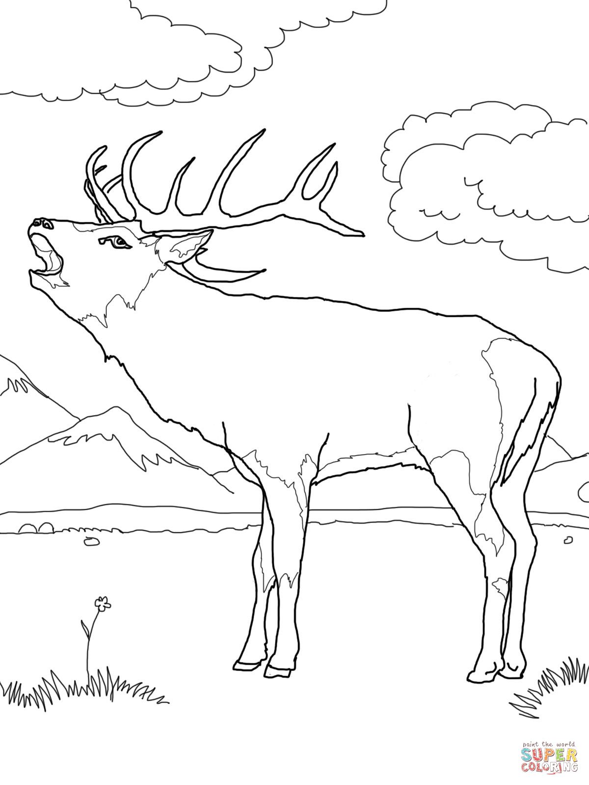 Western european red deer coloring page supercoloring deer coloring pages horse coloring pages coloring pages