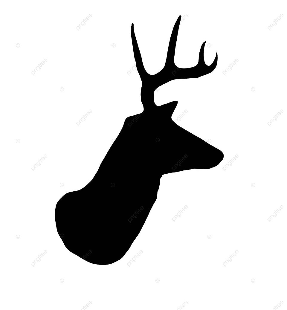 Whitetail buck deer head profile silhouette rack majestic tail photo background and picture for free download