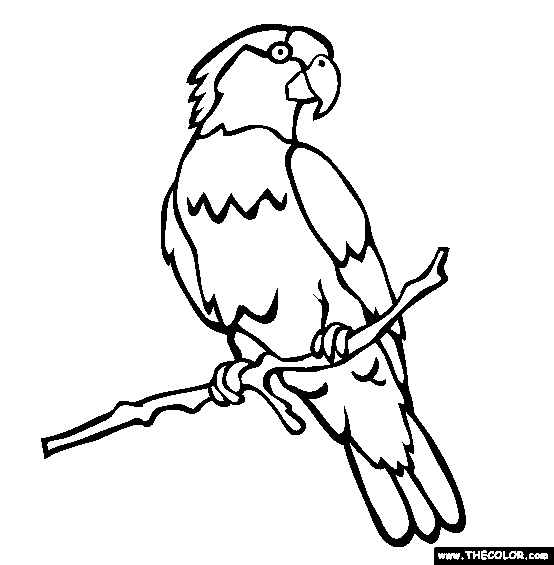 Endangered anials online coloring pages