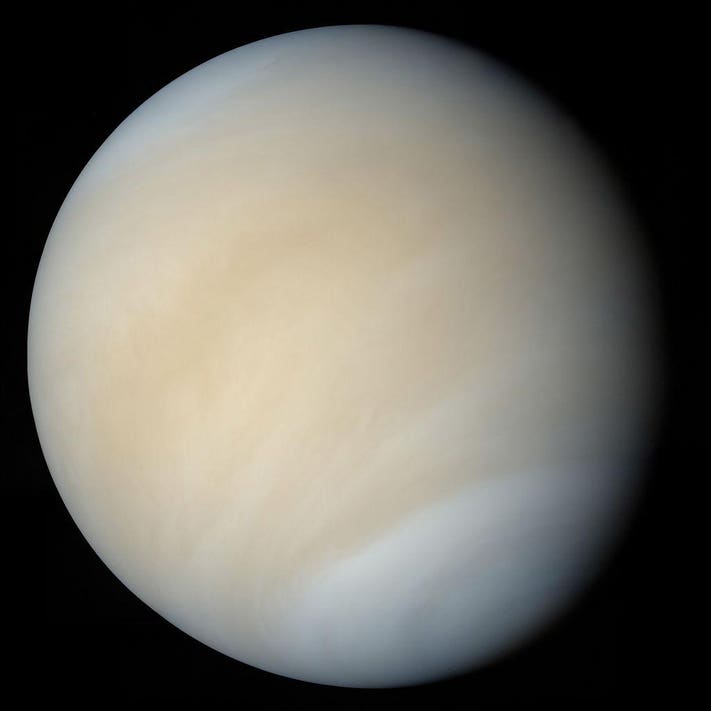 Yes there really could be life in the cloud tops of venus