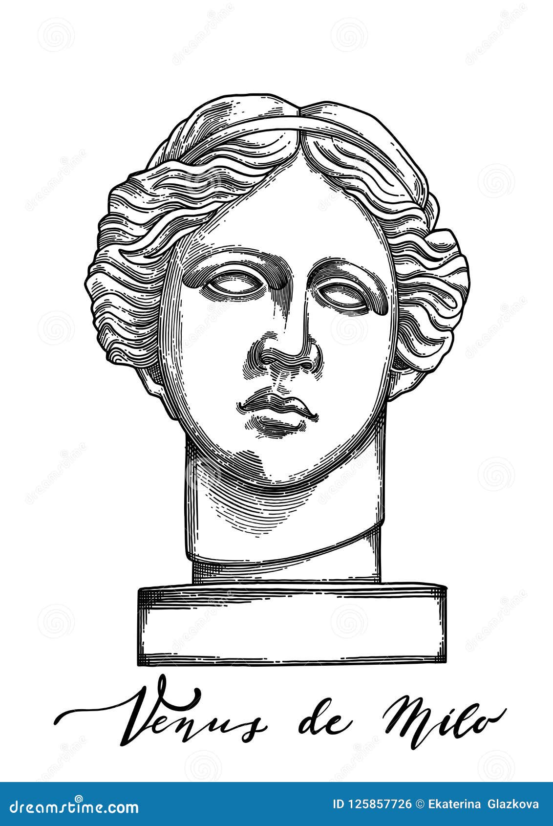 Venus de milo head sculpture drawn in engraving technique stock vector