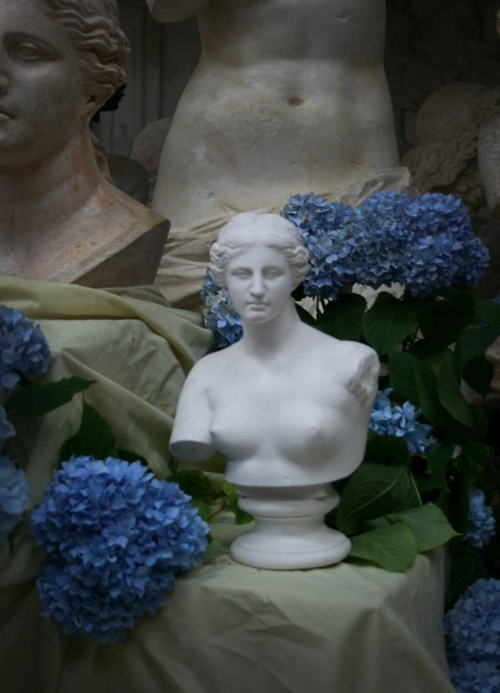 Venus de melo bust sculpture for sale item caproni collection