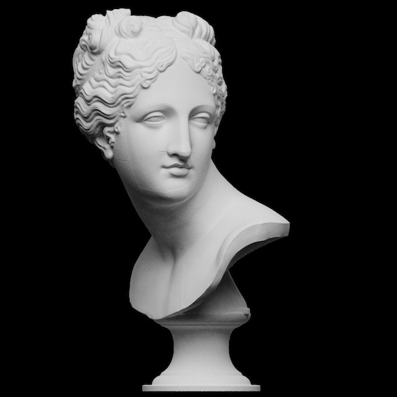 Bust of venus venus italica bust d printed sculpture office decoration shelf decoration desk decor different color size option