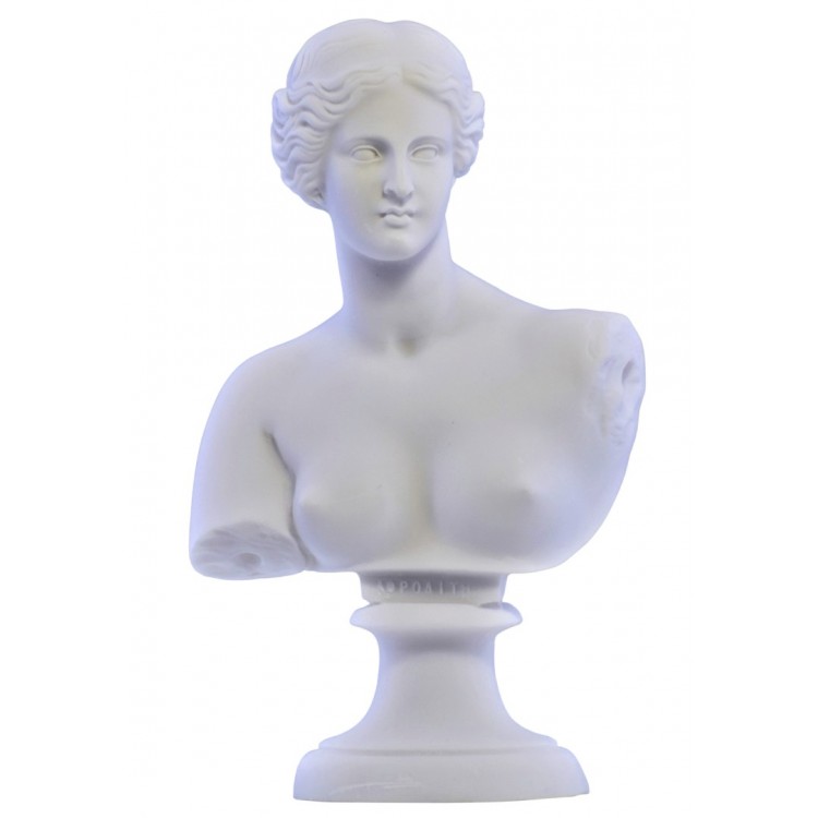 Goddess aphrodite venus bust head greek statue sculpture cast marble copy