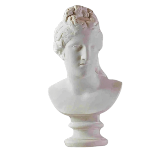 Explore ancient beauty bust of aphrodite capitoline museum