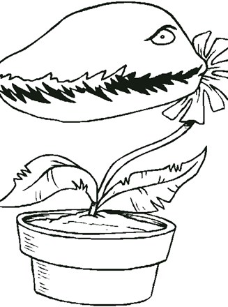 Flowers coloring page