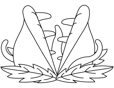 Venus fly trap coloring pages free coloring pages