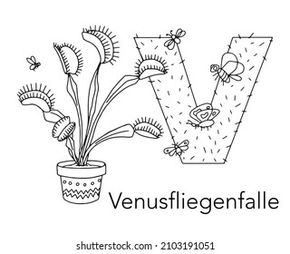 Venus fly trap over royalty
