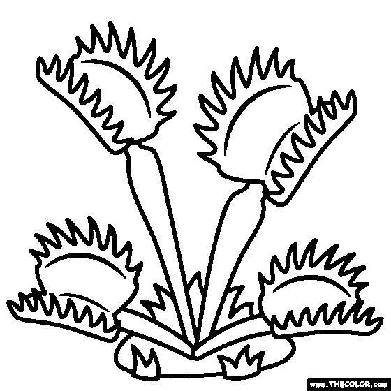 Nature coloring pages