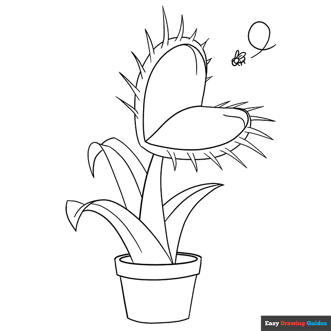 Venus flytrap coloring page easy drawing guides