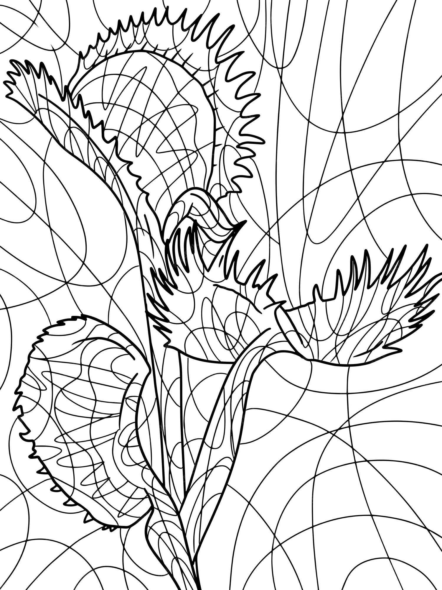 Premium vector venus flytrap houseplant killer freehand sketch antistress coloring and zentangle coloring book