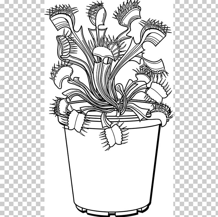 Venus flytrap drawing plant line art trapping png clipart artwork black and white coloring book cut