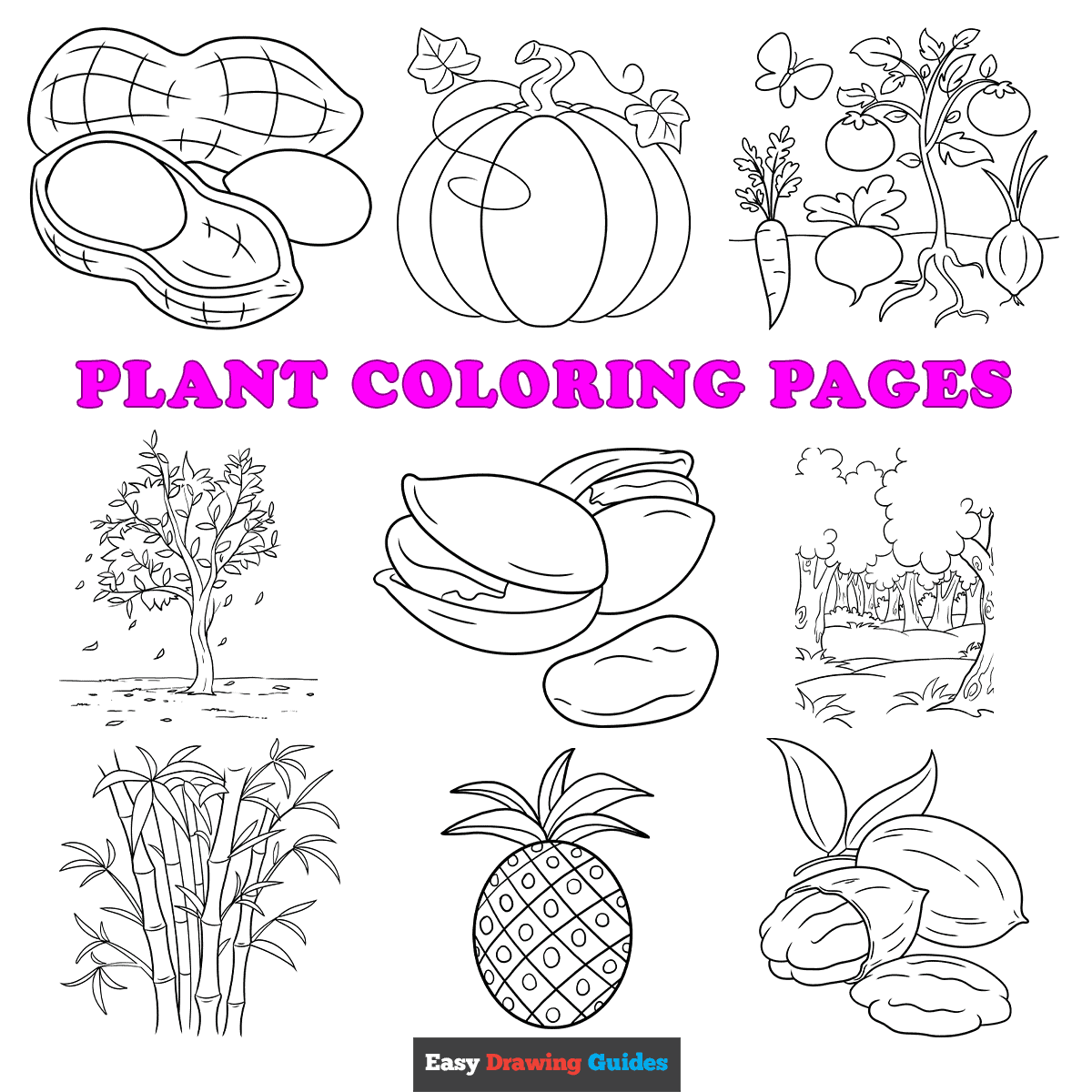 Free printable plant coloring pages for kids