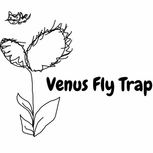 Stream venus fly trap by kã listen online for free on
