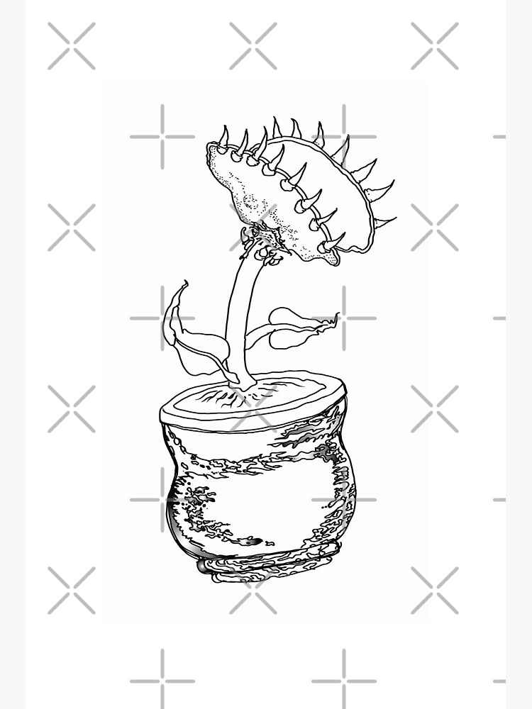 Carnivorous plant pencil art board print for sale by alchemistartist