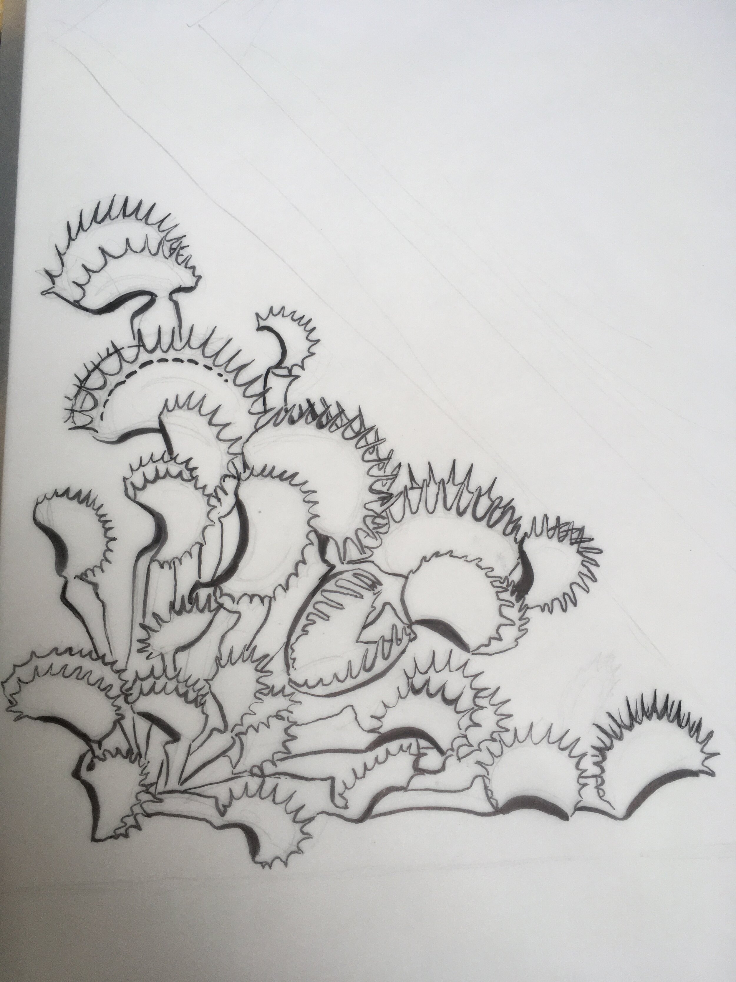 Carnivorous botanical drawing â solstice handmade