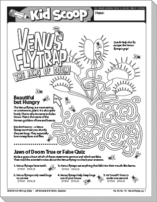 Venus flytrap kid scoop