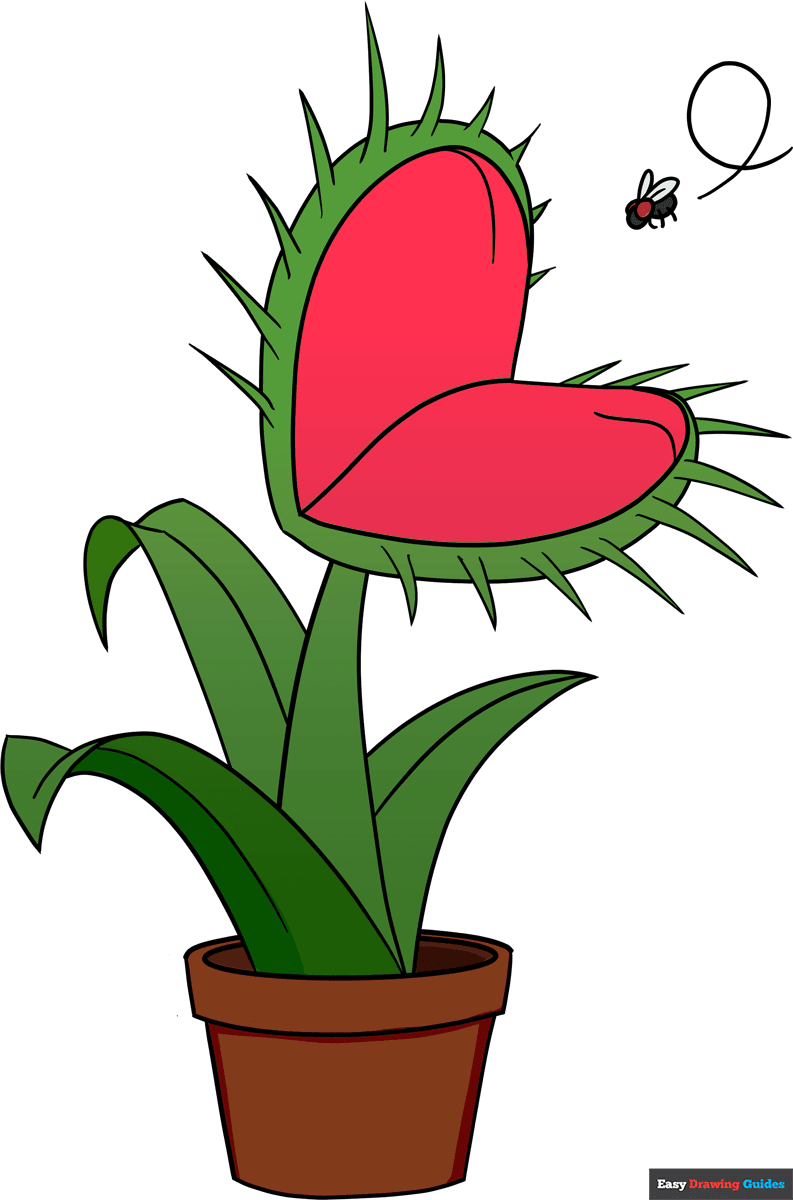 How to draw a venus flytrap