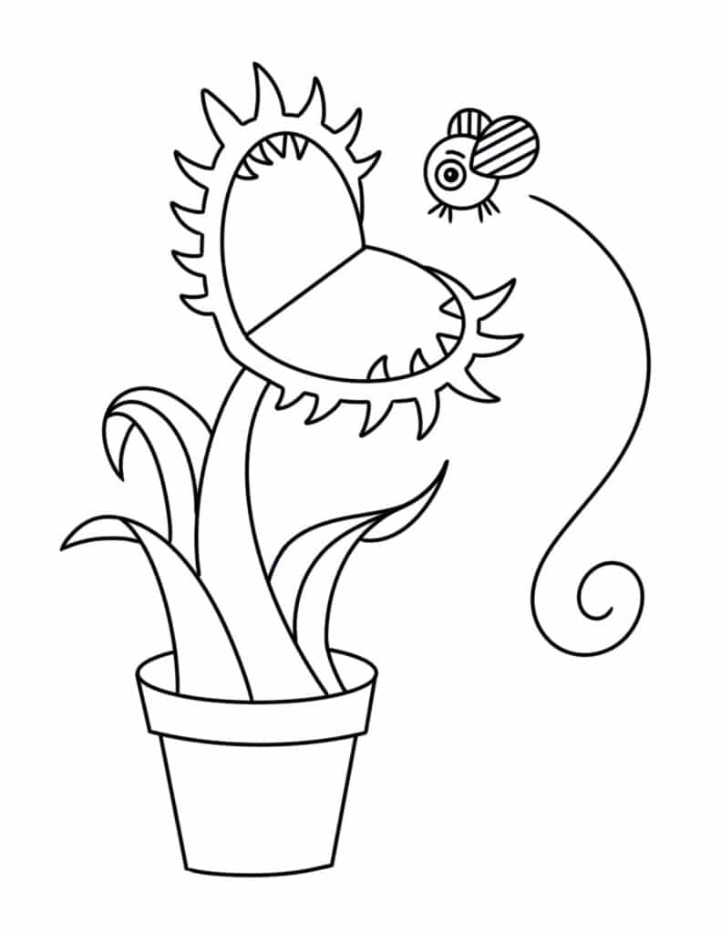 Free plant coloring pages â the hollydog blog