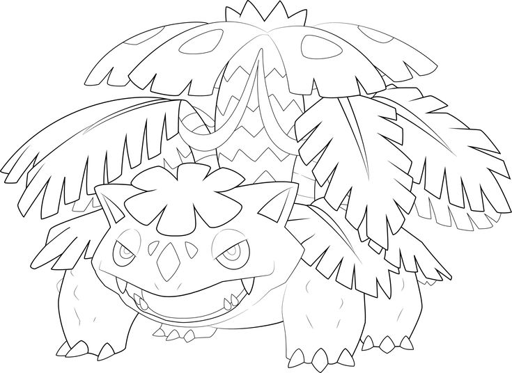 Mega venusaur line