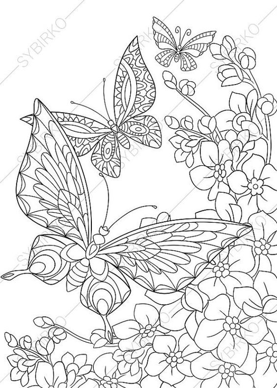 Insects coloring pages coloring book for adults and kids