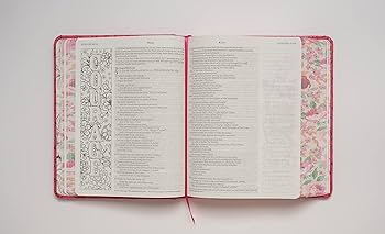 Inspire bible nlt hardcover leatherlike pink peony filament enabled the bible for coloring creative journaling tyndale books