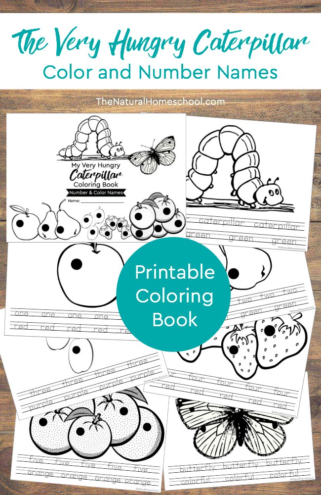 Free very hungry caterpillar numbers colors coloring book