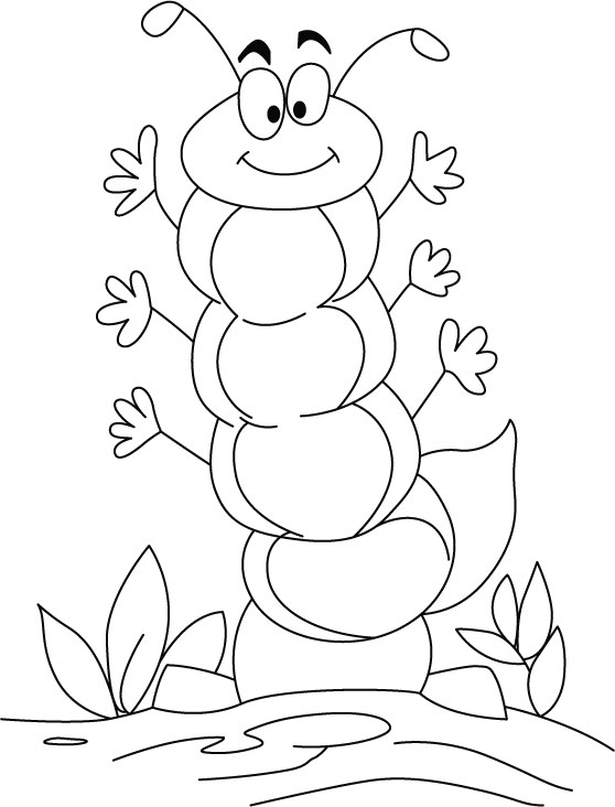 Caterpillar in high spirit coloring pages download free caterpillar in high spirit coloring pages for kids best coloring pages