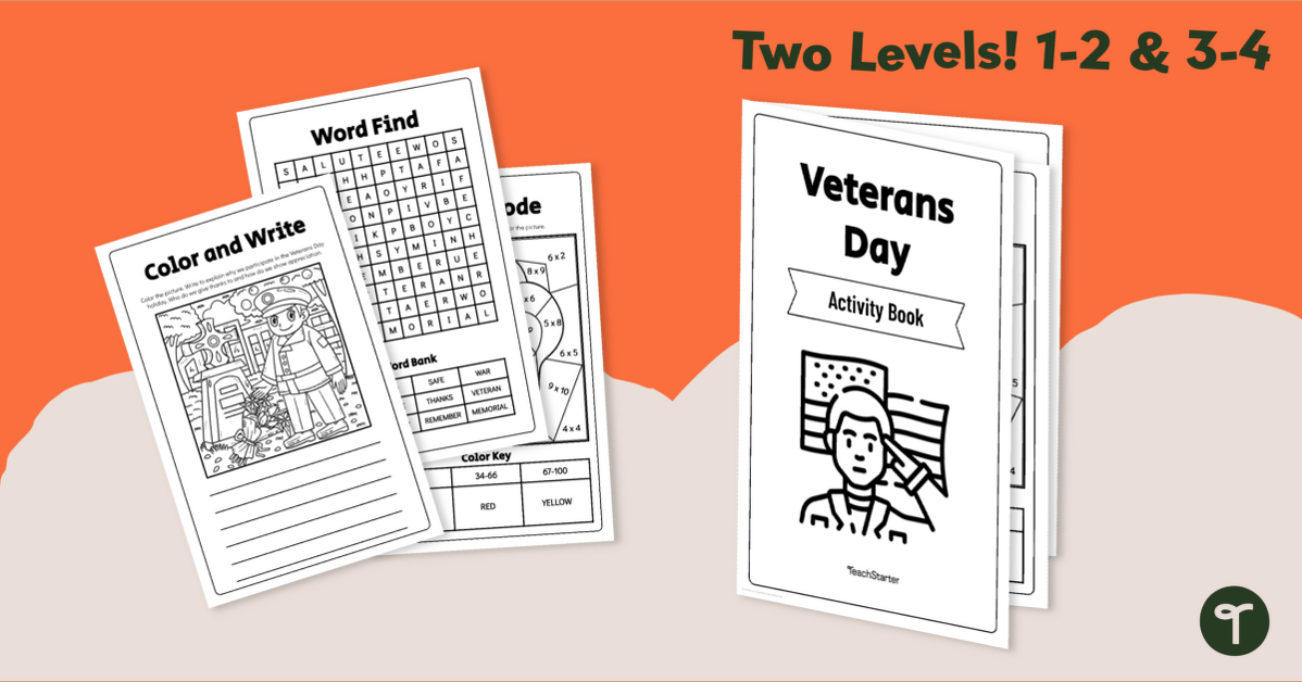 Veterans day activity book