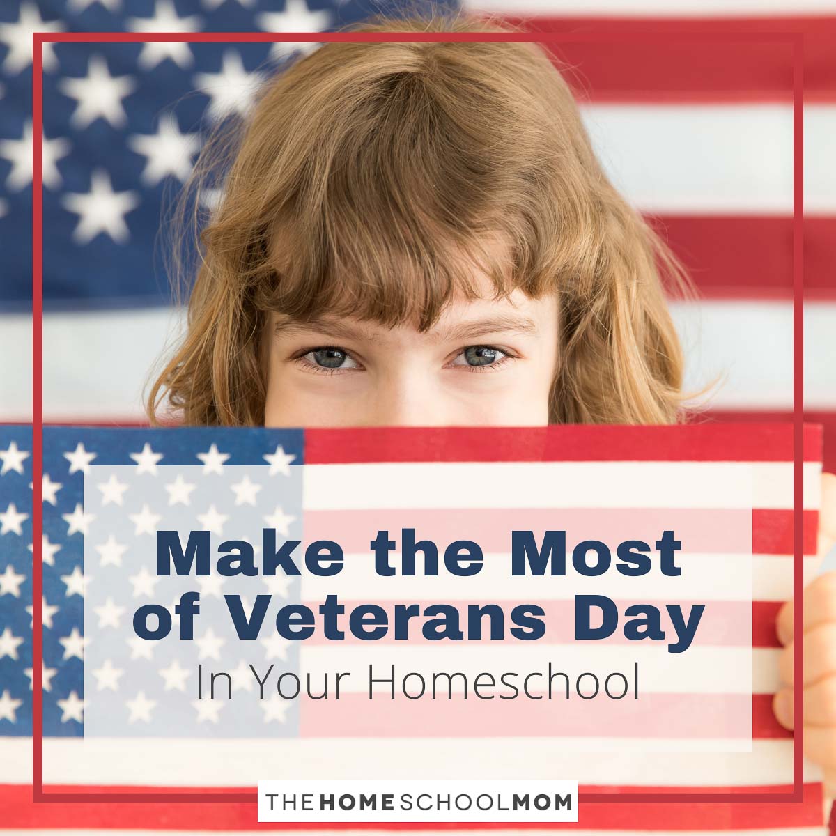 Ways to make the most of veterans day in your homeschool