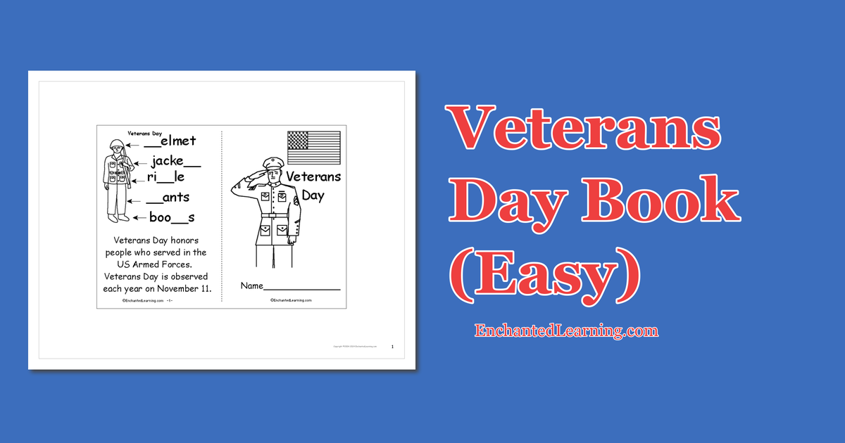Veterans day book easy