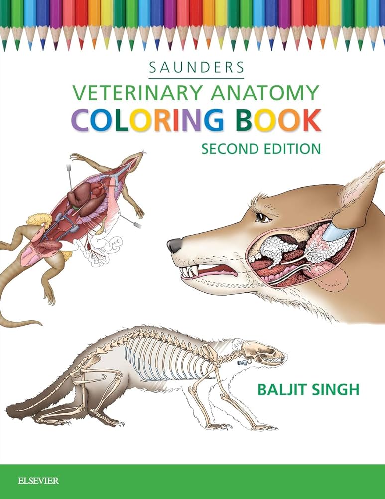 Veterinary anatomy coloring book medicine health science books