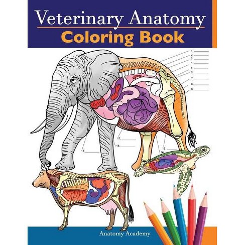 Veterinary anatomy coloring book