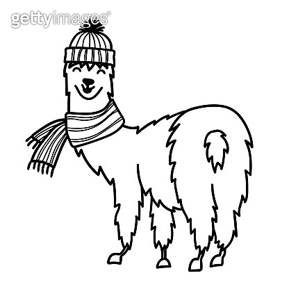 Vector illustration of cute character south aerica laa with decorations isolated outline cartoon baby llaa hand drawn peru anial guanaco alpaca vicuna drawing for print fabric