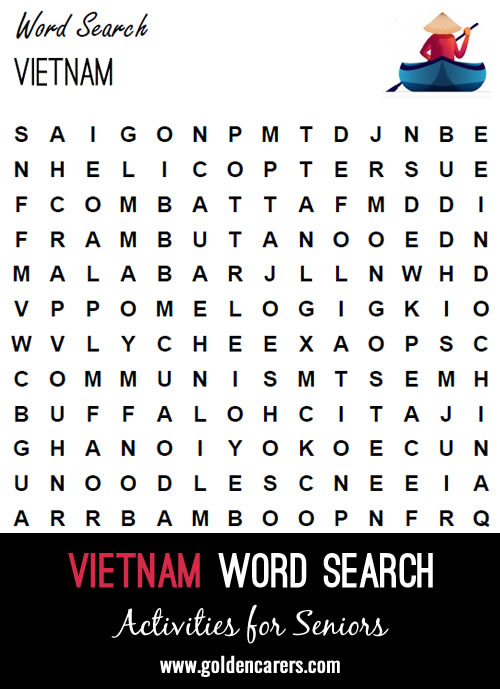 Vietnam word finder