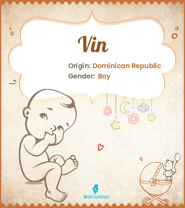 Vin name meaning origin history and popularity