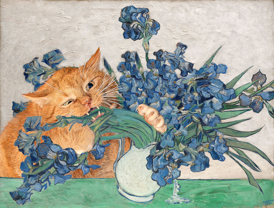 Vincent van gogh irises and the cat